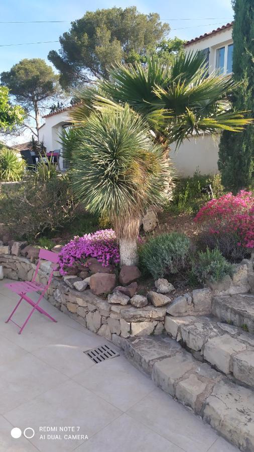 Villas-Piscine Les Mimosas Fréjus Esterno foto